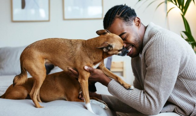 a man petting a dog